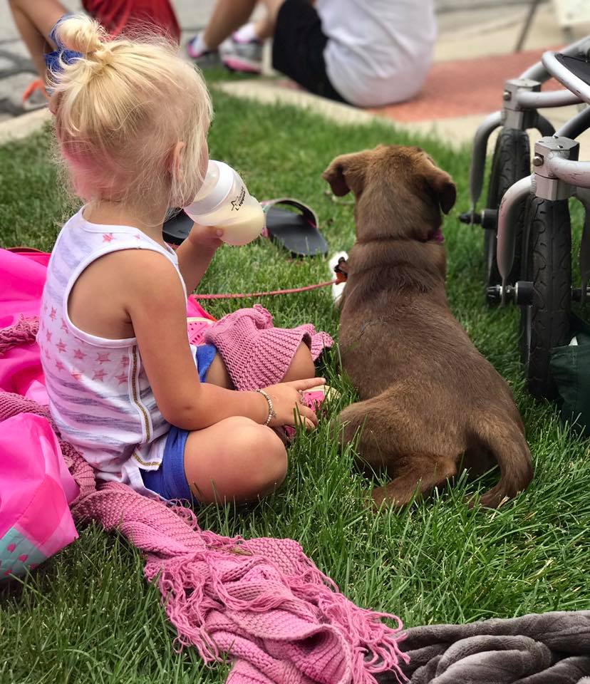 Katie Kooima - 4th of July Parade