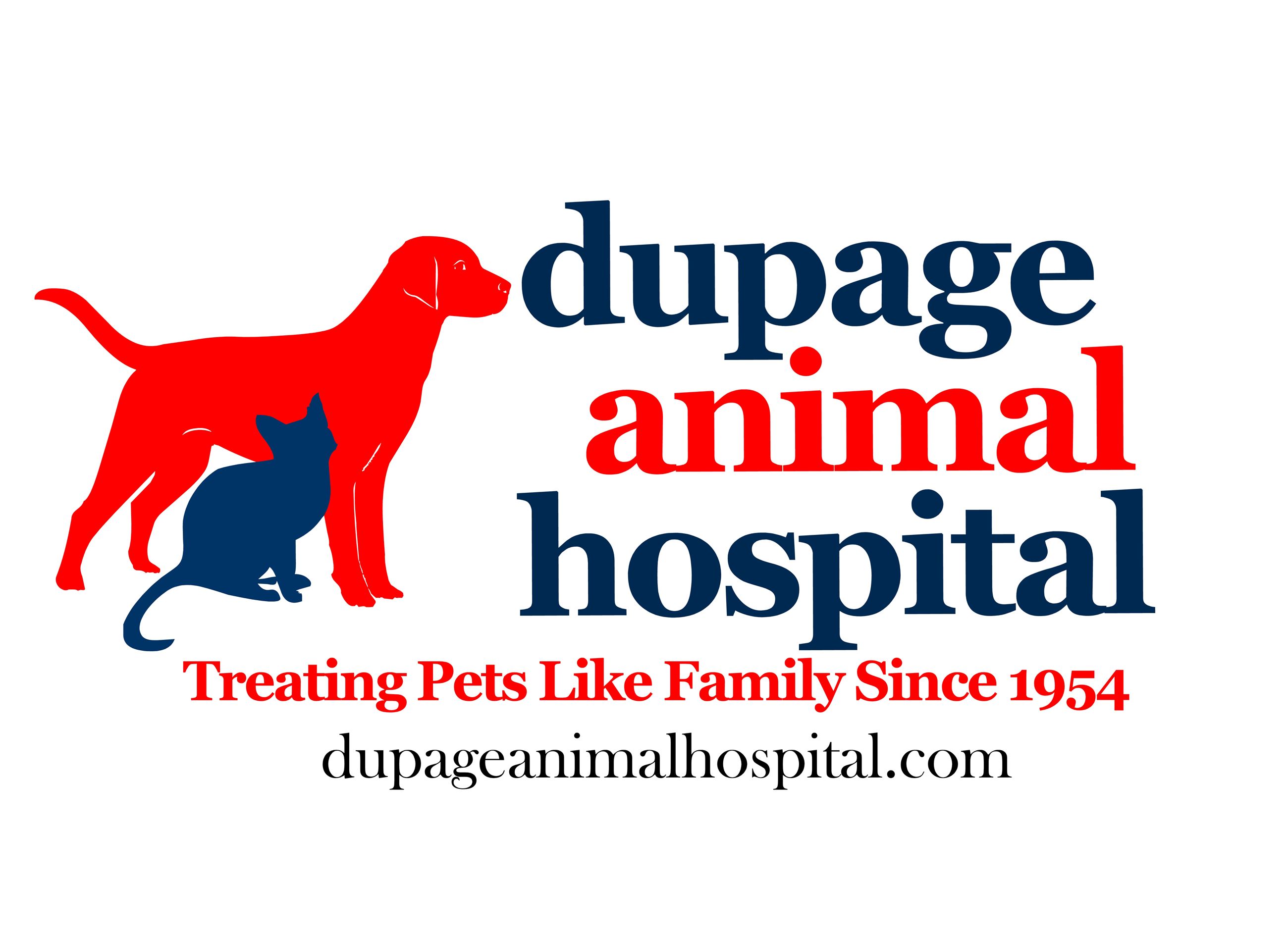 Bronze Sponsor DAH LOGO - high res w url