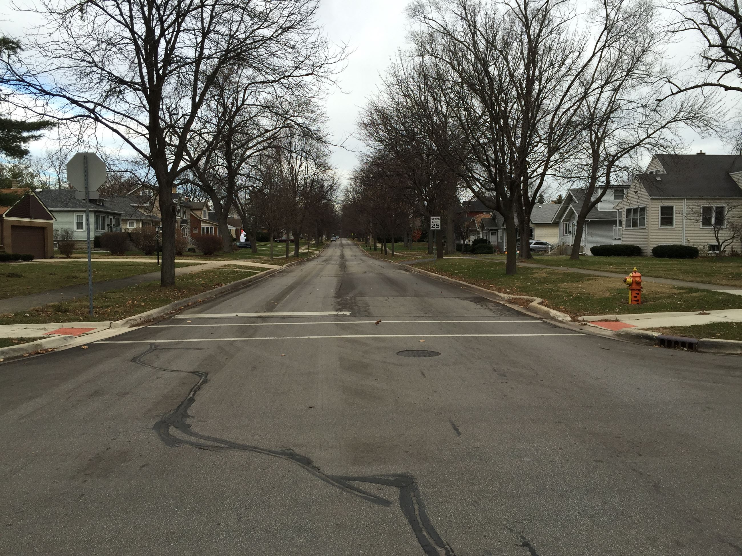 Road with Sealed Cracks
