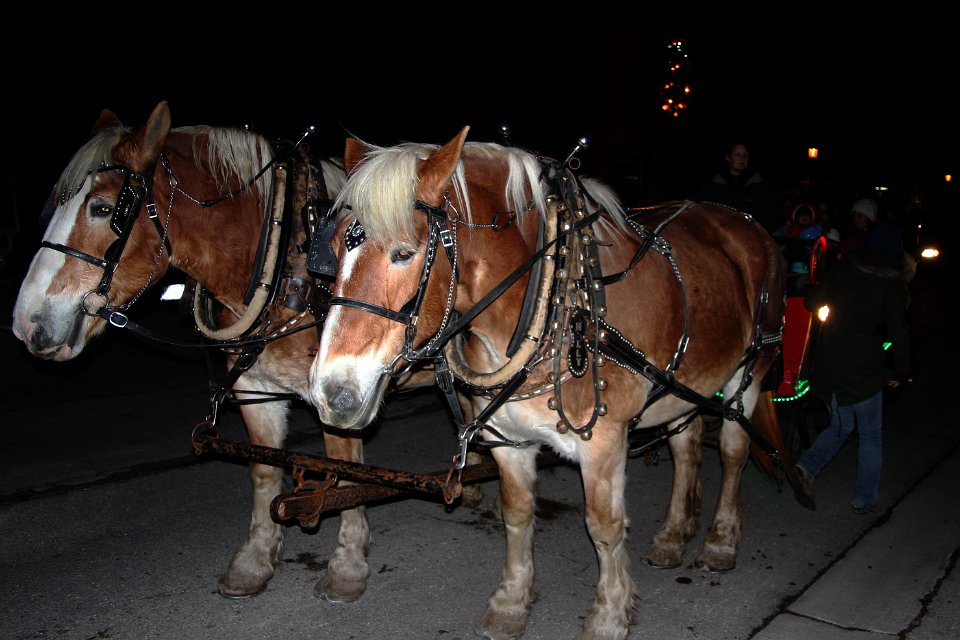 Joyful Traditions 2014