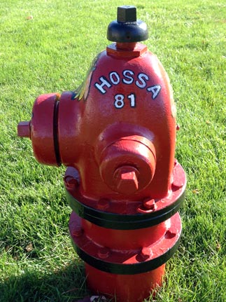 515 E. Van Buren - Blackhawks